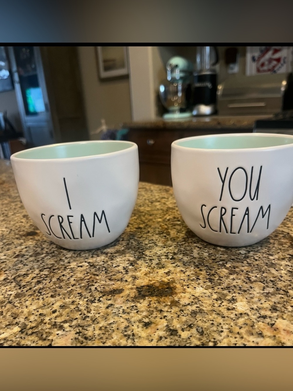 Rae Dunn White Ceramic Ice Cream Bowls with Mint Interior - Set of 2